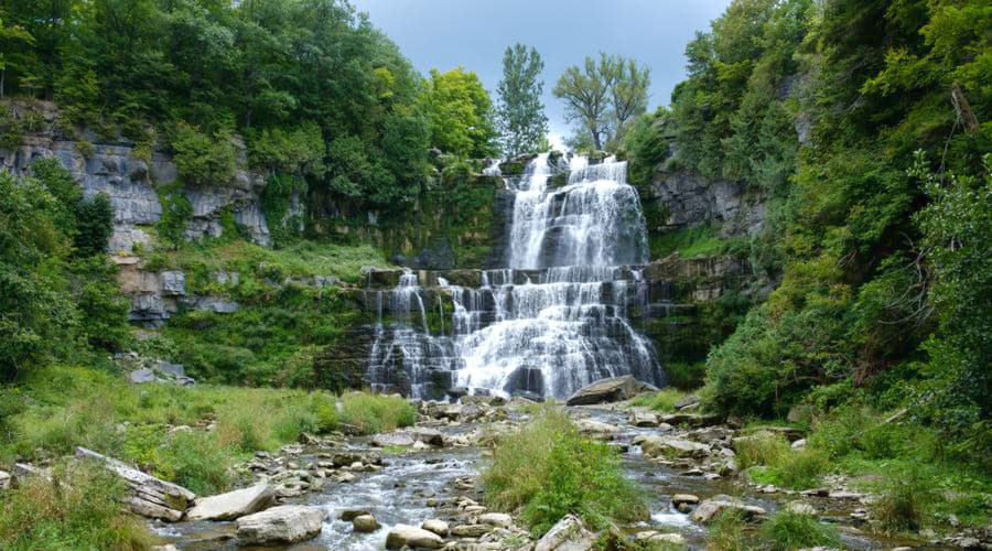 ¿Cuáles son las opciones de vehículos más populares en Verona?